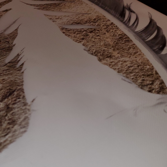 15"x15"x2.5" Canvas Feathers artwork - Picture 6 of 6